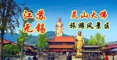 日本操逼粉色视频江苏无锡灵山大佛旅游风景区